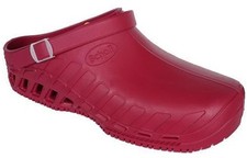 Scholl CLOG EVO Calzature