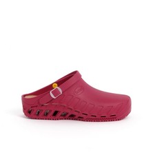 Scholl Clog Evo Zoccoli